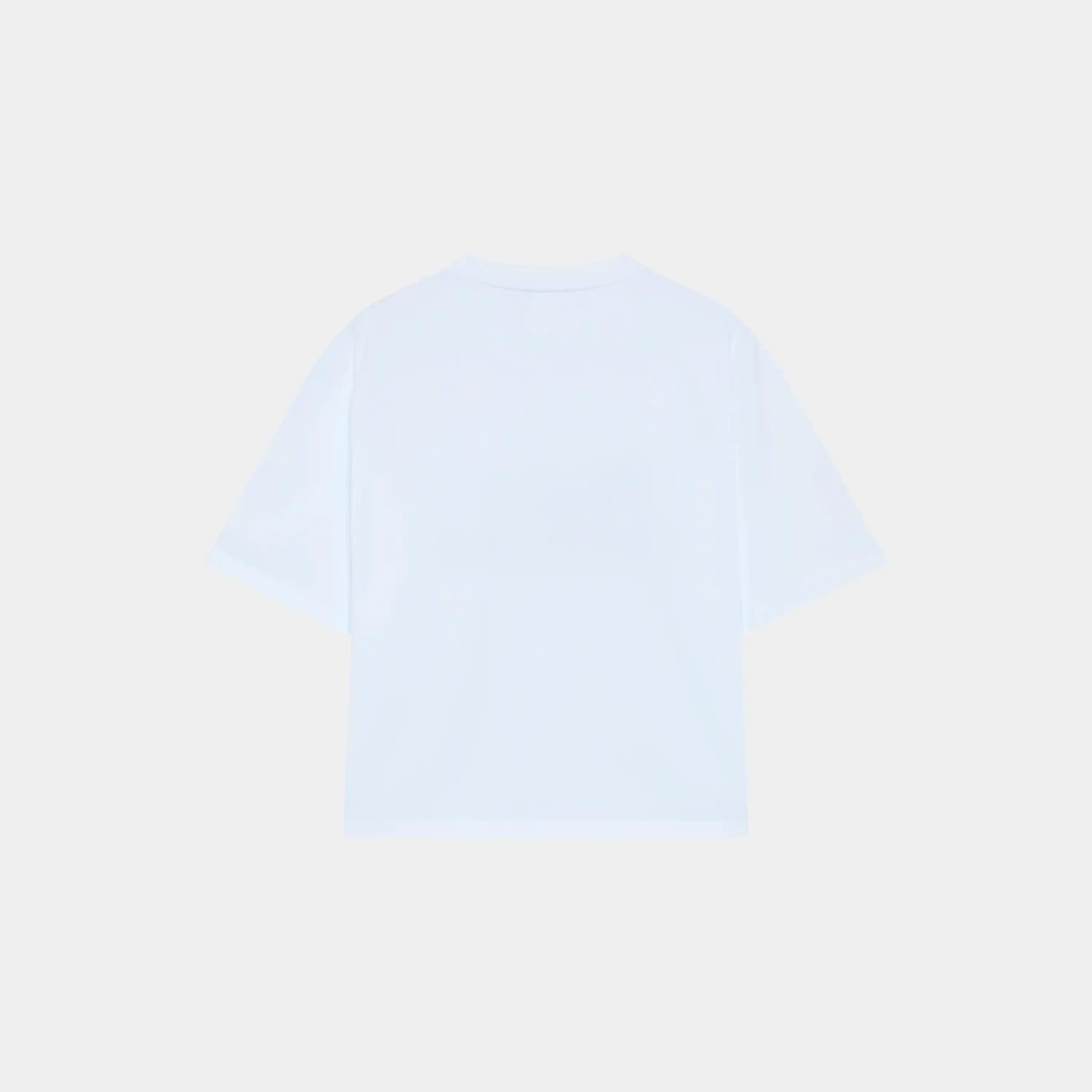Branch Oversize Tee
