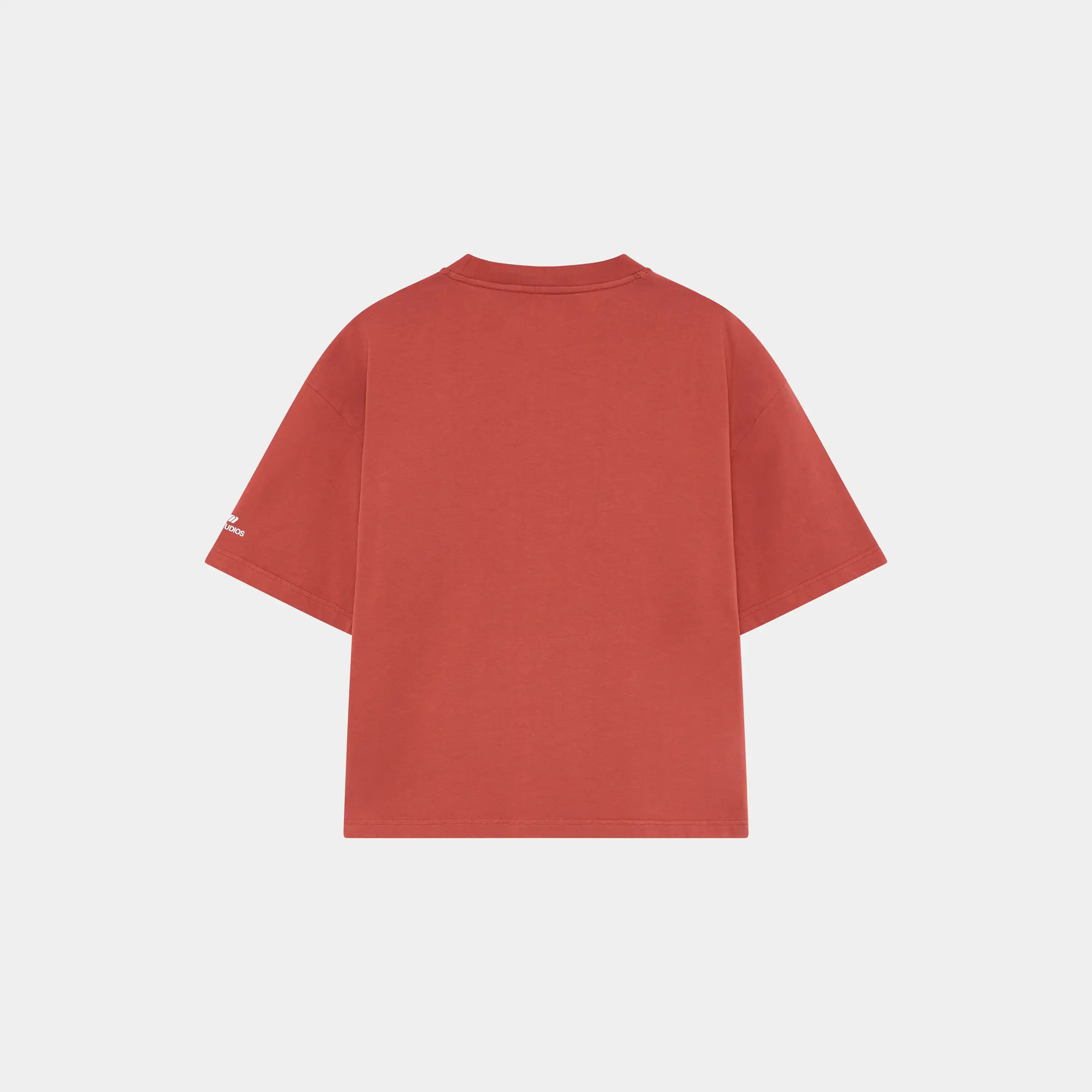 Inside Out Spice Oversized Tee