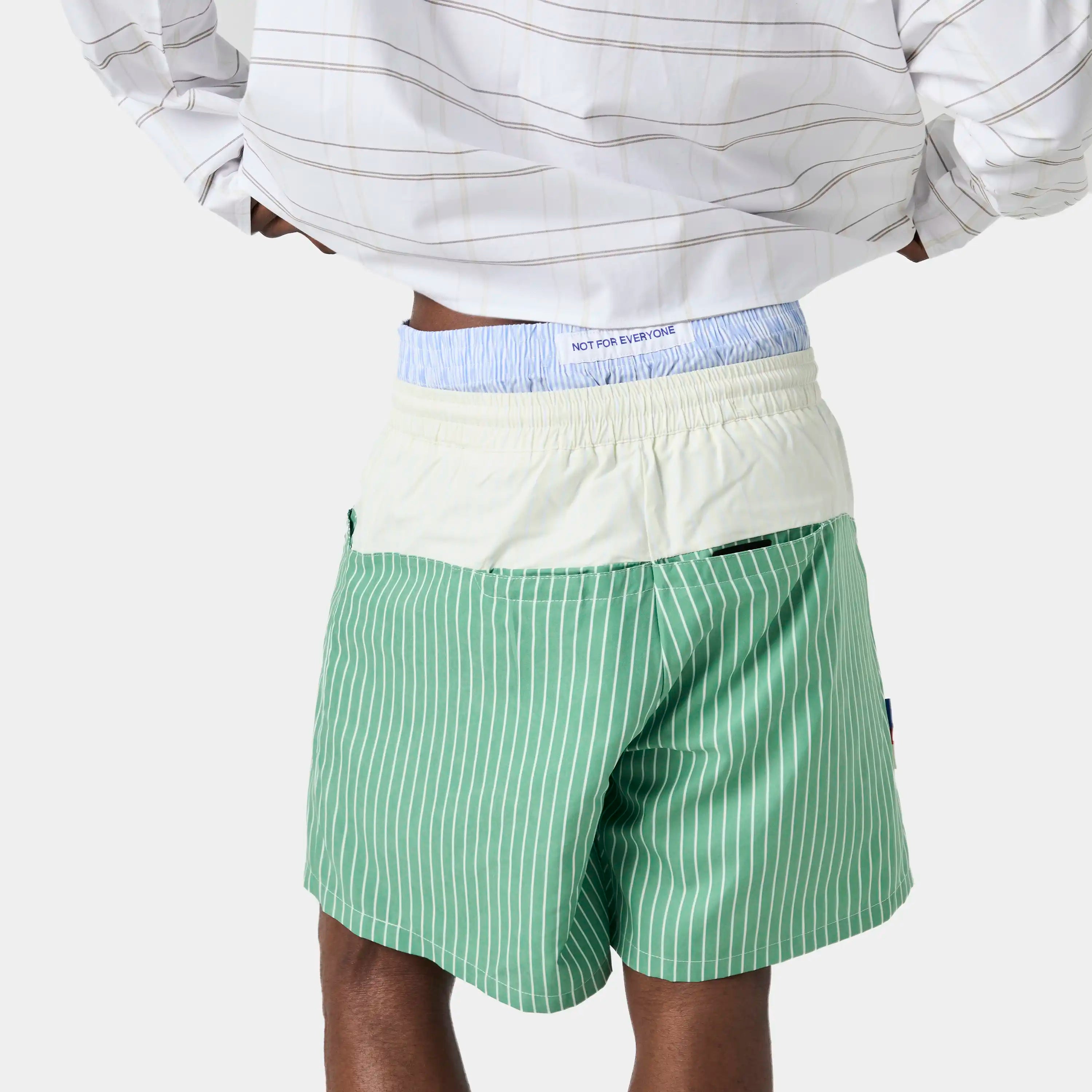 Gary Striped Swim Trunks